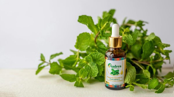 Les bienfaits de l'aromathérapie et des huiles essentielles