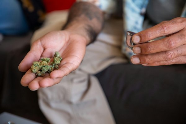 Avis médical cbd : découvrez ses bienfaits et usages