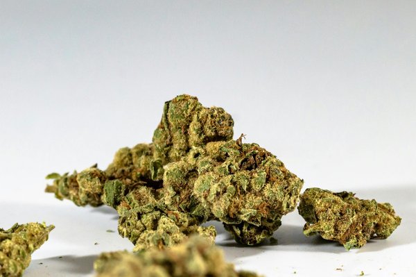 Résine de cbd filtrée 3x : où trouver les meilleures options