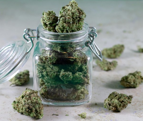 Meilleure fleur de cbd pour relaxation : guide des variétés populaires
