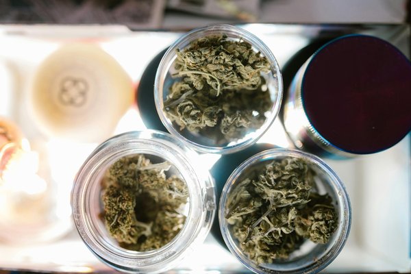 Pourquoi choisir les fleurs de cbd légales pour un bien-être optimal