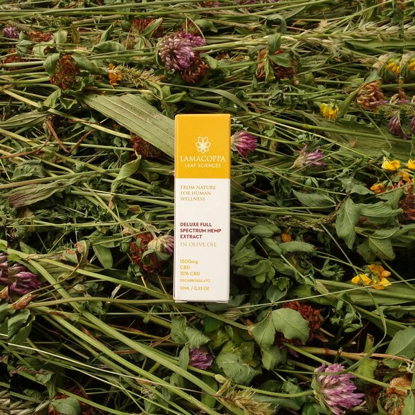 Les secrets des fleurs cbd de qualité premium révélés