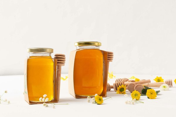 Miel de cactus : conseils pour obtenir le pot qu'il vous faut